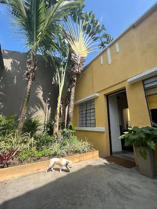 House With Pool In San Antonio Villa Cali Feriehus